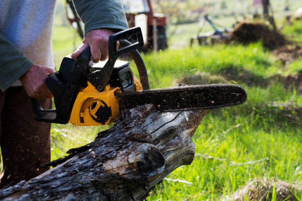 Lawn Maintenance Plans in Sawmills, NC